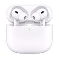 Pro 2 ANC (USB-C Case)