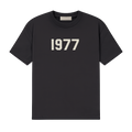 1977 Iron T-shirt